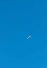 1607973