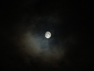 1606714