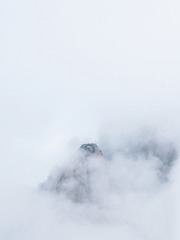 1686582