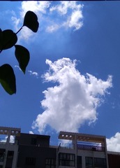 1658424