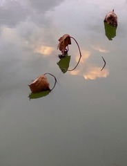 1713975
