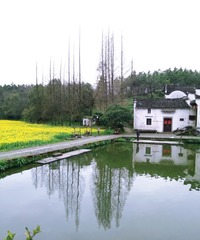 1566963