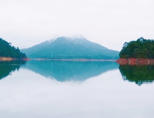 29006