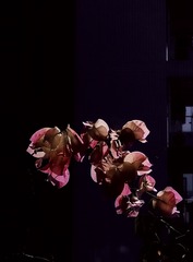 1681055