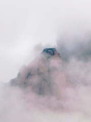 1686581