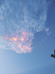 1633347