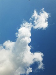 1000036649