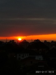 1517029