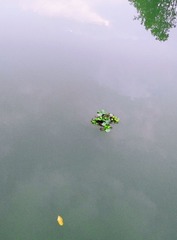 1713978