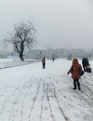 1720117