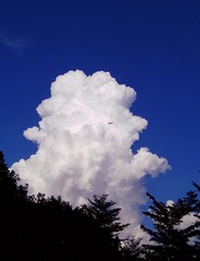 1660496