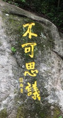 1000014156