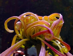 1714166