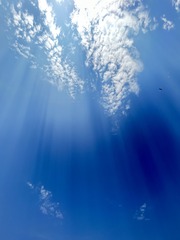 06EA9D2D-B84A-4F59-AAE9-4829027C22B9/L0/001