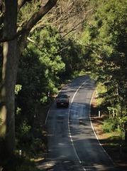 DSC_8790-1.jpg