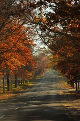 DSC_9030-1.jpg