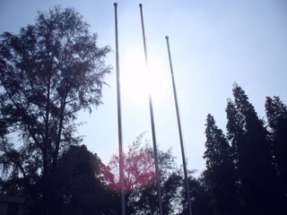 SAM_2076.JPG