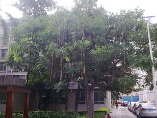 201111112459.jpg