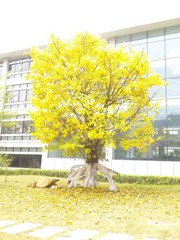 IMG0176A.jpg