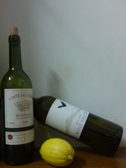 IMG0220A.jpg