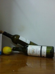 IMG0221A.jpg