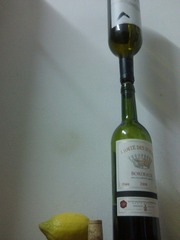 IMG0232A.jpg