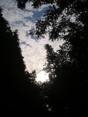 WP_000138.jpg