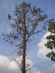 WP_000174.jpg