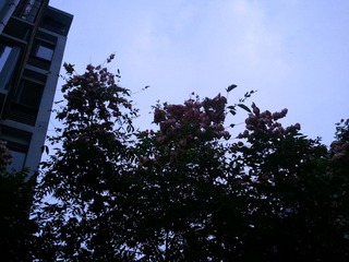 WP_000275.jpg