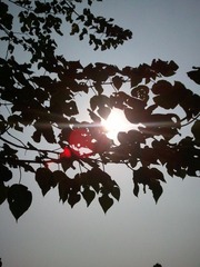WP_000351.jpg