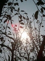 WP_000352.jpg