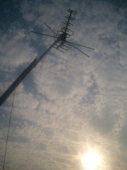 WP_000602.jpg