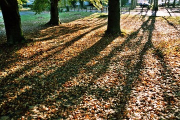_30_0247_副本.jpg