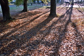 _30_0247.jpg