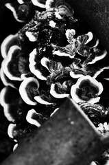 DSC_7866_副本.jpg