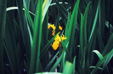 DSC_2156.jpg
