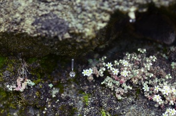DSC_2735.jpg