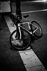DSC_4600.jpg
