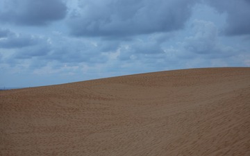 CF000847