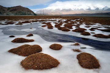 DSC_2120.jpg