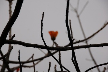 DSC_5657.JPG