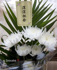 nEO_IMG_IMG_0456