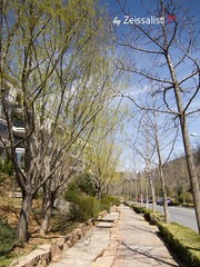 nEO_IMG_IMG_0451