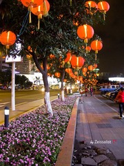 Night (1)