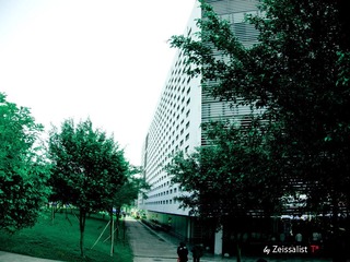 nEO_IMG_IMG_0036 copy