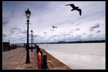2007530782259411[1]