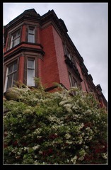 2007530755160214[1]