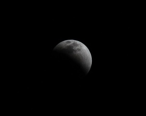 IMG_7862.jpg
