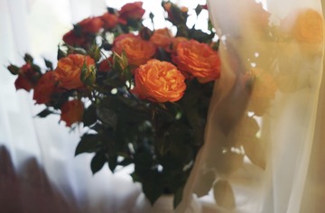 DD8C6CC5-5EF6-4E60-8065-12EA0D7881CD/L0/001