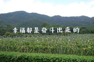 8669275C-0E71-4243-9E6E-483A4B235280/L0/001